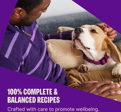 Wellness Complete Health Adult Wholesome Grains Natural Chicken & Oatmeal Dry Dog Food, 30-lb bag slide 2 of 9