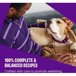 Wellness Complete Health Adult Wholesome Grains Natural Whitefish & Sweet Potato Dry Dog Food, 30-lb bag