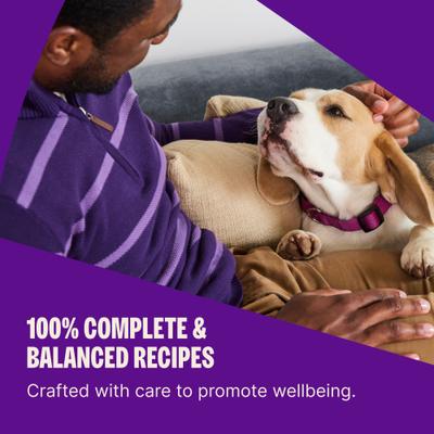 Show full view: Wellness Complete Health Adult Wholesome Grains Natural Chicken & Oatmeal Dry Dog Food, 30-lb bag slide 5 of 11