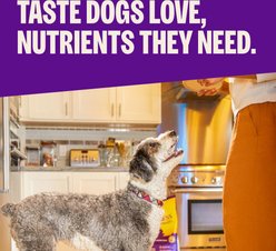 Wellness Complete Health Toy Breed Adult Wholesome Grains Natural Chicken, Brown Rice, & Peas Dry Dog Food, 4-lb bag slide 2 of 9