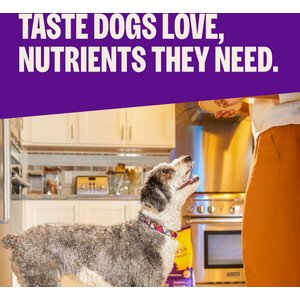 Wellness Complete Health Adult Wholesome Grains Natural Whitefish & Sweet Potato Dry Dog Food, 30-lb bag