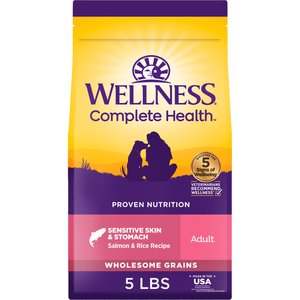 Wellness Complete Health Sensitive Skin & Stomach Adult Wholesome Grains Natural Salmon & Rice Dry Dog Food, 5-lb bag