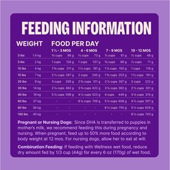 Wellness Complete Health Puppy Wholesome Grains Natural Chicken, Oatmeal, & Salmon Dry Dog Food, 30-lb bag slide 2 of 9