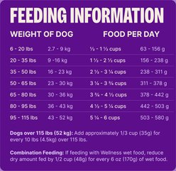 Wellness Complete Health Adult Wholesome Grains Natural Beef & Barley Dry Dog Food, 26-lb bag slide 2 of 9