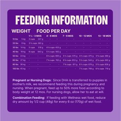 Wellness Complete Health Large Breed Puppy Wholesome Grains Natural Chicken, Brown Rice, & Salmon Meal, 30-lb bag slide 2 of 9
