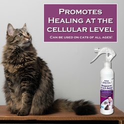 Feline Ring Care Ringworm & Itch Relief RTU Wound Care Spray for Cats, 8-fl oz bottle slide 2 of 6