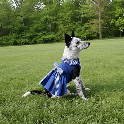 Show full view: Doggie Design Gingham Dog Dress, Blue, Medium slide 5 of 5