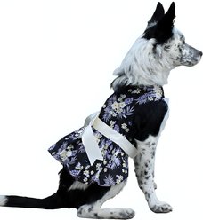 Doggie Design Twilight Dog Dress, Black, Medium slide 2 of 5