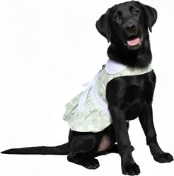 Doggie Design Daisy Dog Dress, Mint Green, Large slide 2 of 5