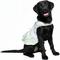 Show in main carousel: Doggie Design Daisy Dog Dress, Mint Green, Small slide 3 of 5