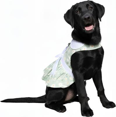 Show full view: Doggie Design Daisy Dog Dress, Mint Green, Small slide 3 of 5