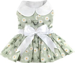 Doggie Design Daisy Dog Dress, Mint Green, X-Large