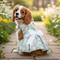 Show in main carousel: Doggie Design Daisy Dog Dress, Mint Green, Small slide 5 of 5
