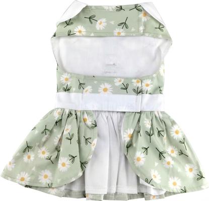 Show full view: Doggie Design Daisy Dog Dress, Mint Green, Small slide 2 of 5