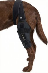 Labra ACL MCL Patella Injuries for Rear Left Knee Brace Dog Recovery Apparel, Large