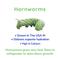 Show in main carousel: Feeder Insects Live Hornworm Reptile Food, 25 count slide 3 of 5