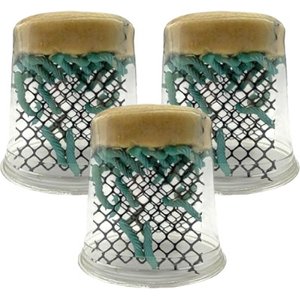 Feeder Insects Live Hornworm Reptile Food, 75 count