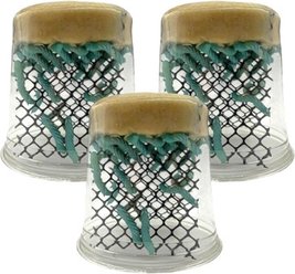 Feeder Insects Live Hornworm Reptile Food, 75 count