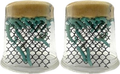 Feeder Insects Live Hornworm Reptile Food, 50 count