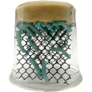Feeder Insects Live Hornworm Reptile Food, 25 count