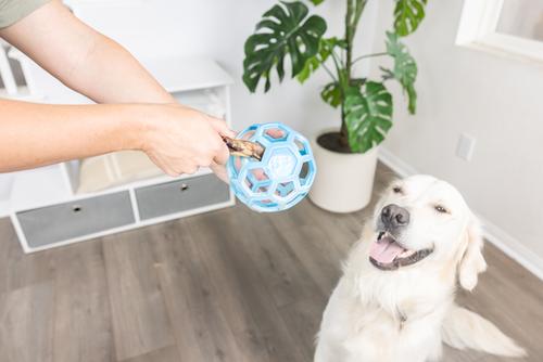 Show full view: Chuckit! Hol-EE Roller Exercise Ball Dog Toy, Blue, Large slide 3 of 4
