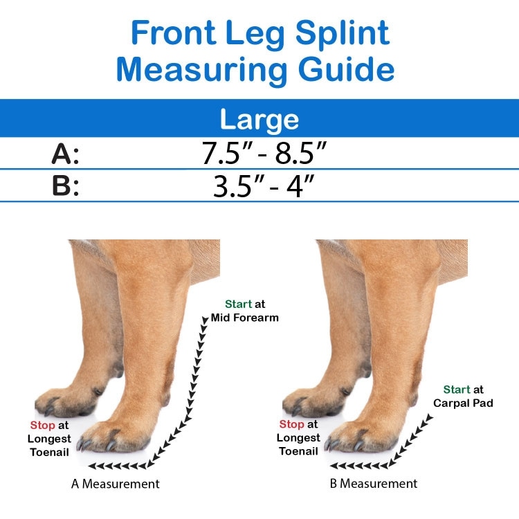 ORTHOVET Standard Dog Front Leg Splint, Large - Chewy.com