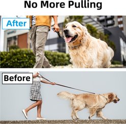 Bousnic No Pull Pro-Training Quick Release Buckle Stainless Steel Prong Dog Collar, 20-in neck, 3-mm wide slide 2 of 8