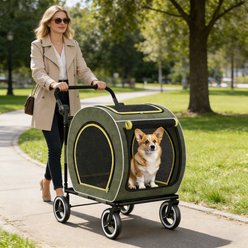 Saudism Foldable Design & Adjustable Handle Wagon Dog Stroller with Pocket, Large, Green slide 2 of 7