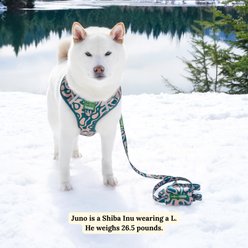 Lucy & Co. Geyser Dog Poop Bag Holder with Bags, 1 roll slide 2 of 5