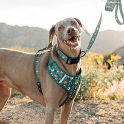 Lucy & Co. Power to the Parks No-Pull Dog Harness, Small: 14 to 18-in chest slide 2 of 9