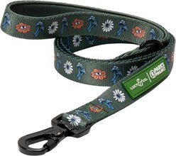 Lucy & Co. Power to the Parks Padded Dog Leash, Large: 5-ft long, 1-in wide