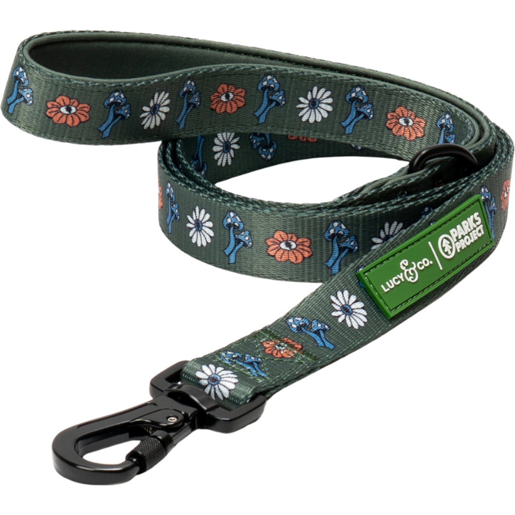 Lucy & Co. Power to the Parks Padded Dog Leash, Large: 5-ft long, 1-in wide