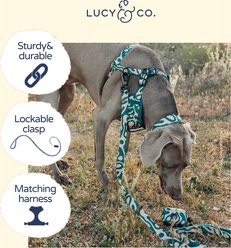 Lucy & Co. Geyser Padded Dog Leash, Small: 5-ft long, 0.6-in wide slide 2 of 6