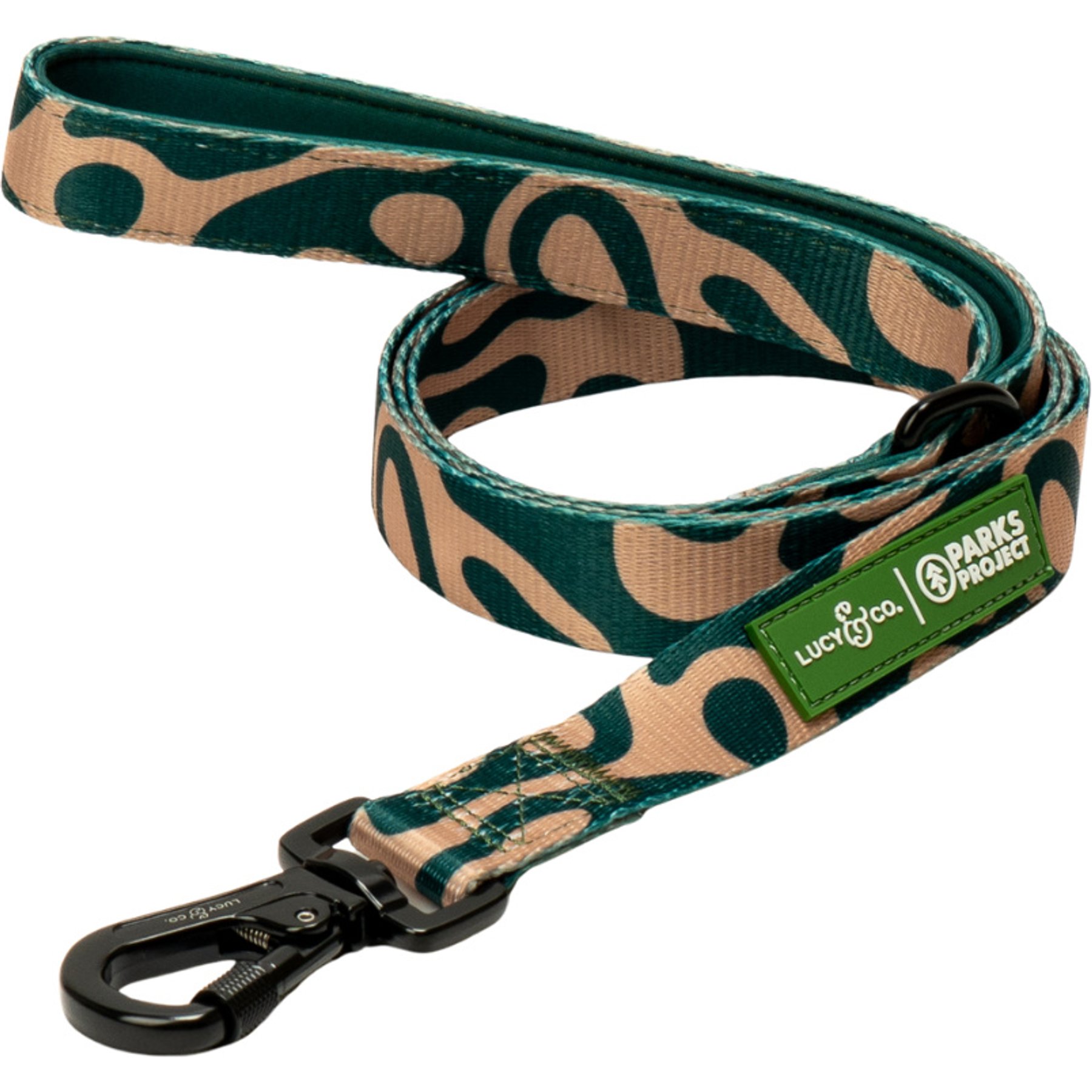 Lucy & Co. Geyser Padded Dog Leash, Small: 5-ft long, 0.6-in wide