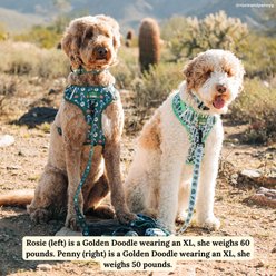Lucy & Co. Feel the Earth Breathe Padded Dog Leash, Small: 5-ft long, 0.6-in wide slide 2 of 7