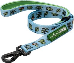 Lucy & Co. Feel the Earth Breathe Padded Dog Leash, Large: 5-ft long, 1-in wide