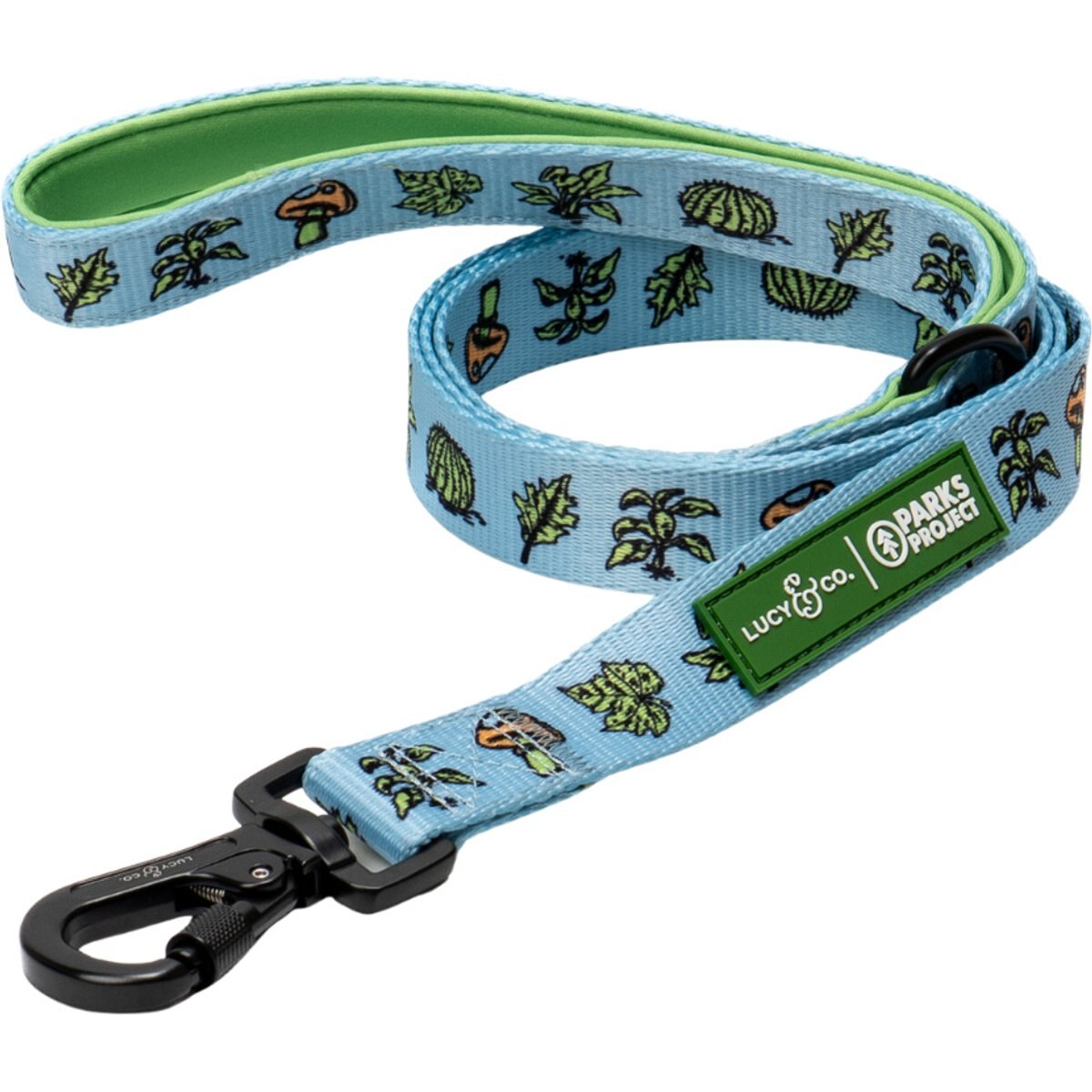 Lucy & Co. Feel the Earth Breathe Padded Dog Leash, Large: 5-ft long, 1-in wide