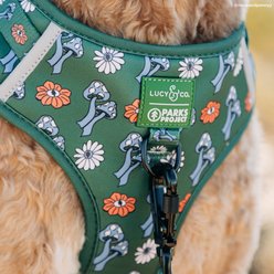 Lucy & Co. Power to the Parks No-Pull Dog Harness, Large: 20 to 28-in chest slide 2 of 9