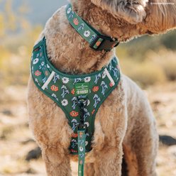 Lucy & Co. Power to the Parks Adjustable Dog Collar, Small: 8 to 14-in neck, 1/2-in wide slide 2 of 7