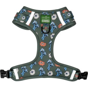 Lucy & Co. Power to the Parks No-Pull Dog Harness, Medium: 17 to 23-in chest