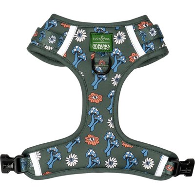 Lucy & Co. Lucy & Co. Power to the Parks No-Pull Dog Harness, X-Small: 12 to 15-in chest
