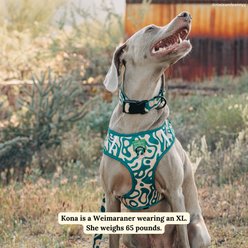 Lucy & Co. Geyser No-Pull Dog Harness, Medium: 17 to 23-in chest slide 2 of 7