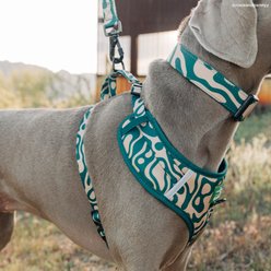 Lucy & Co. Geyser No-Pull Dog Harness, X-Small: 12 to 15-in chest slide 2 of 7