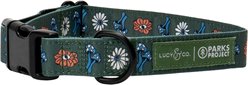 Lucy & Co. Power to the Parks Adjustable Dog Collar, Small: 8 to 14-in neck, 1/2-in wide