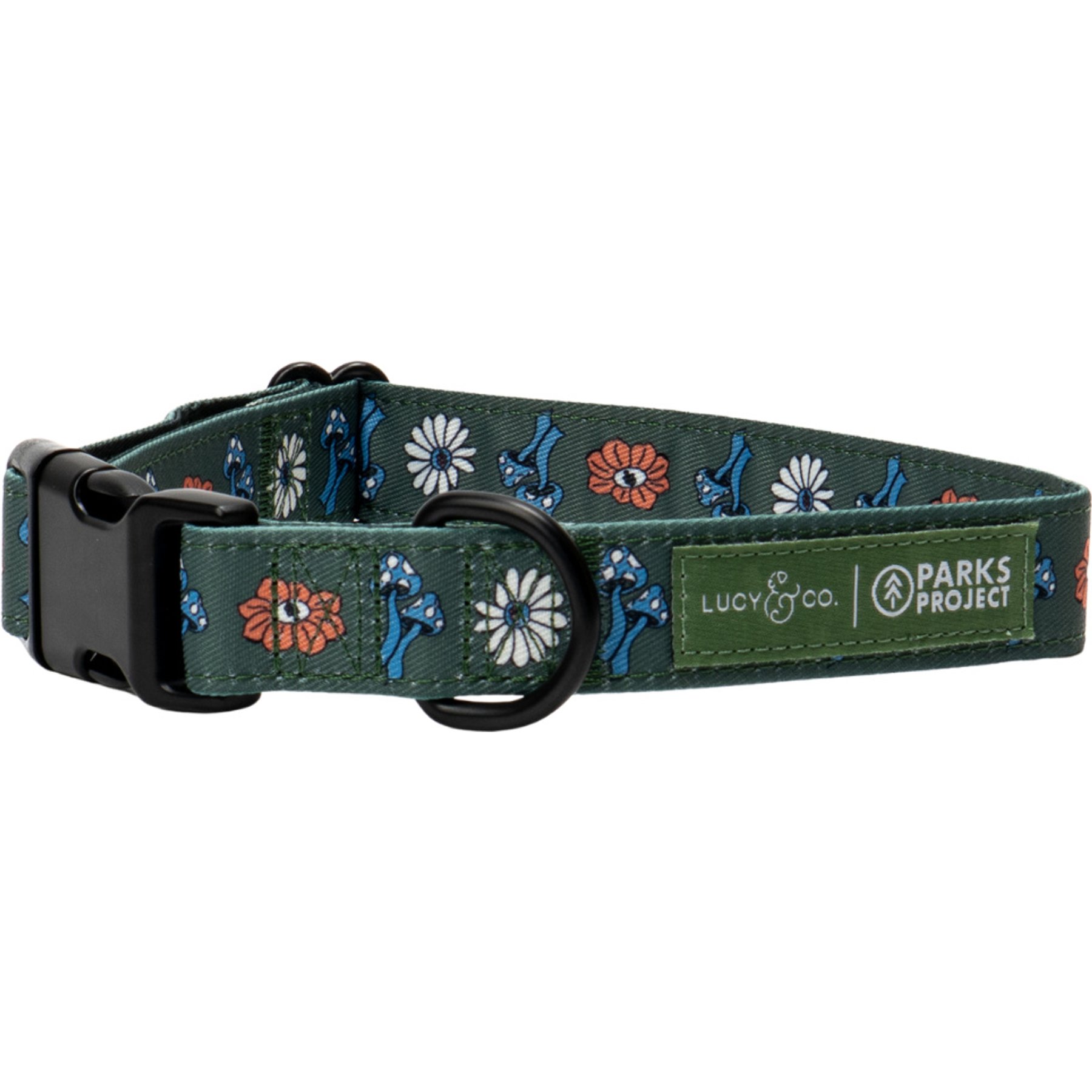 Lucy & Co. Power to the Parks Adjustable Dog Collar, Medium: 13 to 20-in neck, 1-in wide