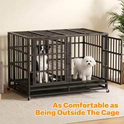 Rupzen Heavy-Duty Swivel Caster Double Dog Crate, Black, 48 Inch slide 2 of 7