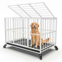 Rupzen Indoor Escape-Proof Double-Door Metal Dog Crate, White, 48 Inch slide 1 of 8