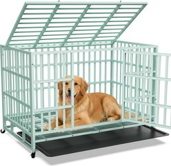Rupzen Heavy-Duty Swivel Caster Dog Crate, Green, 48 Inch