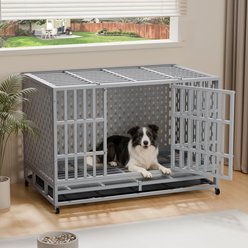 Rupzen Heavy-Duty Reinforced Escape-Proof Dog Crate, Silver, 48 Inch
