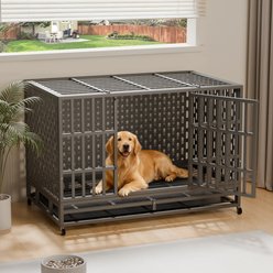 Rupzen Heavy-Duty Reinforced Escape-Proof Dog Crate, Black, 48 Inch